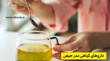 داروهای گیاهی مدر حیض