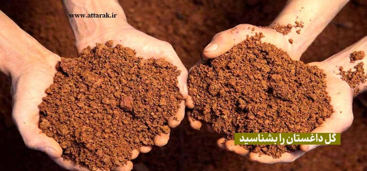 گِل داغستان را بشناسیم