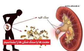 مفتت‌ ها یا سنگ شکن ها را بشناسیم