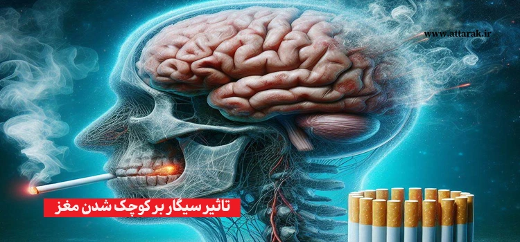 تاثیر سیگار بر کوچک شدن مغز