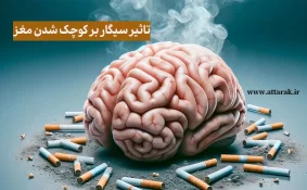 تاثیر سیگار بر کوچک شدن مغز