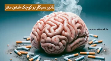 تاثیر سیگار بر کوچک شدن مغز