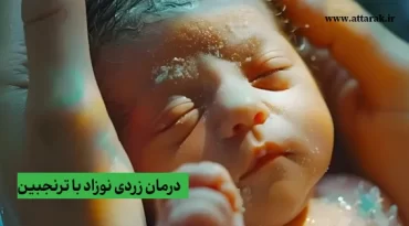 درمان زردی نوزاد با ترنجبین