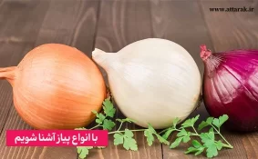 با انواع پیاز آشنا شویم