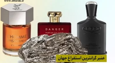 عنبر گرانترین استفراغ جهان