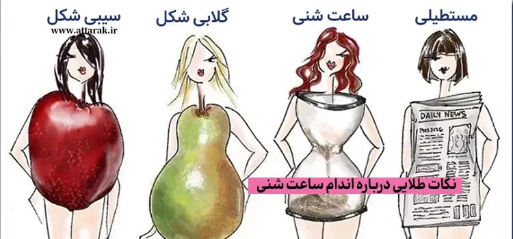 نکات طلایی درباره اندام ساعت شنی
