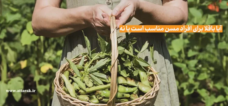 آیا باقلا برای افراد مسن مناسب است یا نه