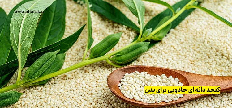 کنجد دانه‌ ای جادویی برای بدن