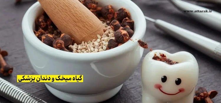 گیاه میخک و دندان پزشکی