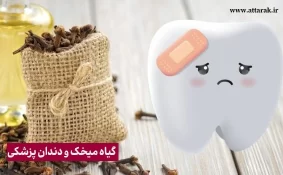 گیاه میخک و دندان پزشکی