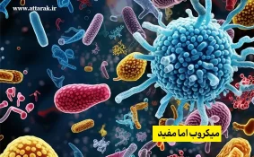 میکروب اما مفید