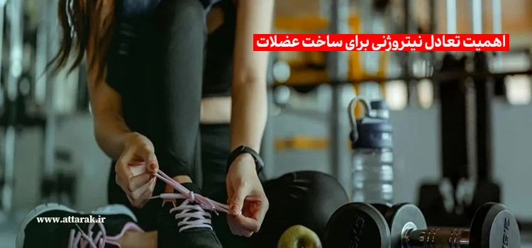 اهمیت تعادل نیتروژنی برای ساخت عضلات