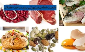 اهمیت تعادل نیتروژنی برای ساخت عضلات