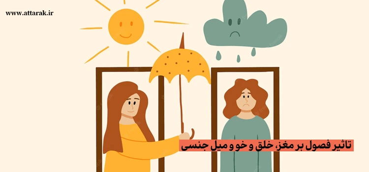 تاثیر فصول بر مغز، خلق و خو و میل جنسی