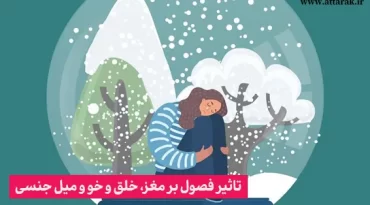 تاثیر فصول بر مغز، خلق و خو و میل جنسی