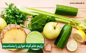 رژیم خام گیاه خواری را بشناسیم