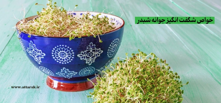 خواص شگفت انگیز جوانه شبدر
