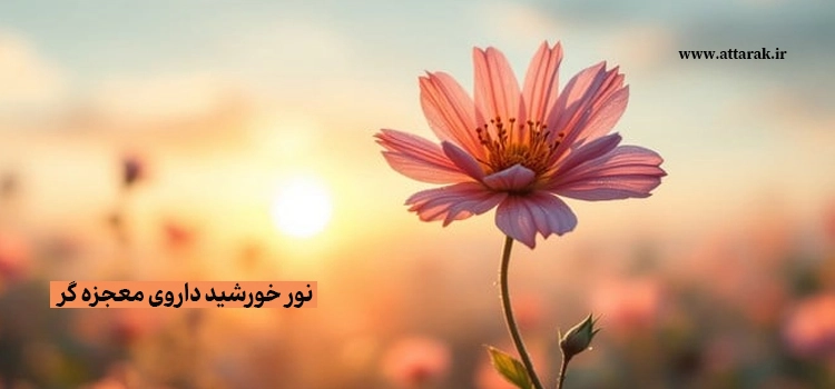 نور خورشید داروی معجزه گر